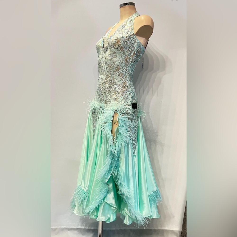 Ballroom smooth competition dress